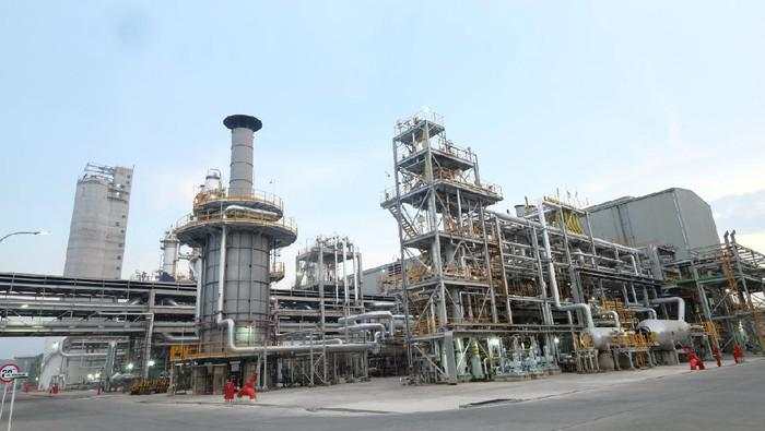 Industri Petrokimia Punya Potensi buat Geber Ekonomi