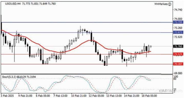 MH Markets 市场分析 2025-02-19
