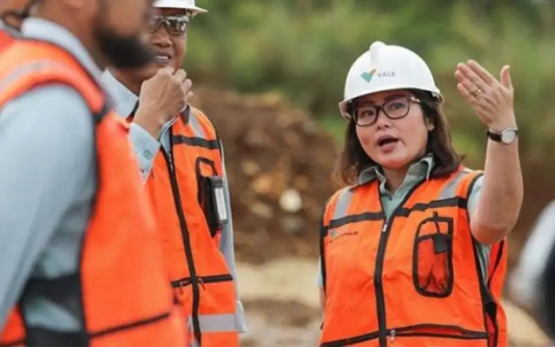 Laba Vale Indonesia (INCO) Anjlok 79 Persen di 2024
