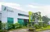 IHSG Hari Ini Masih Berpeluang Menguat, Cermati Empat Saham Berikut