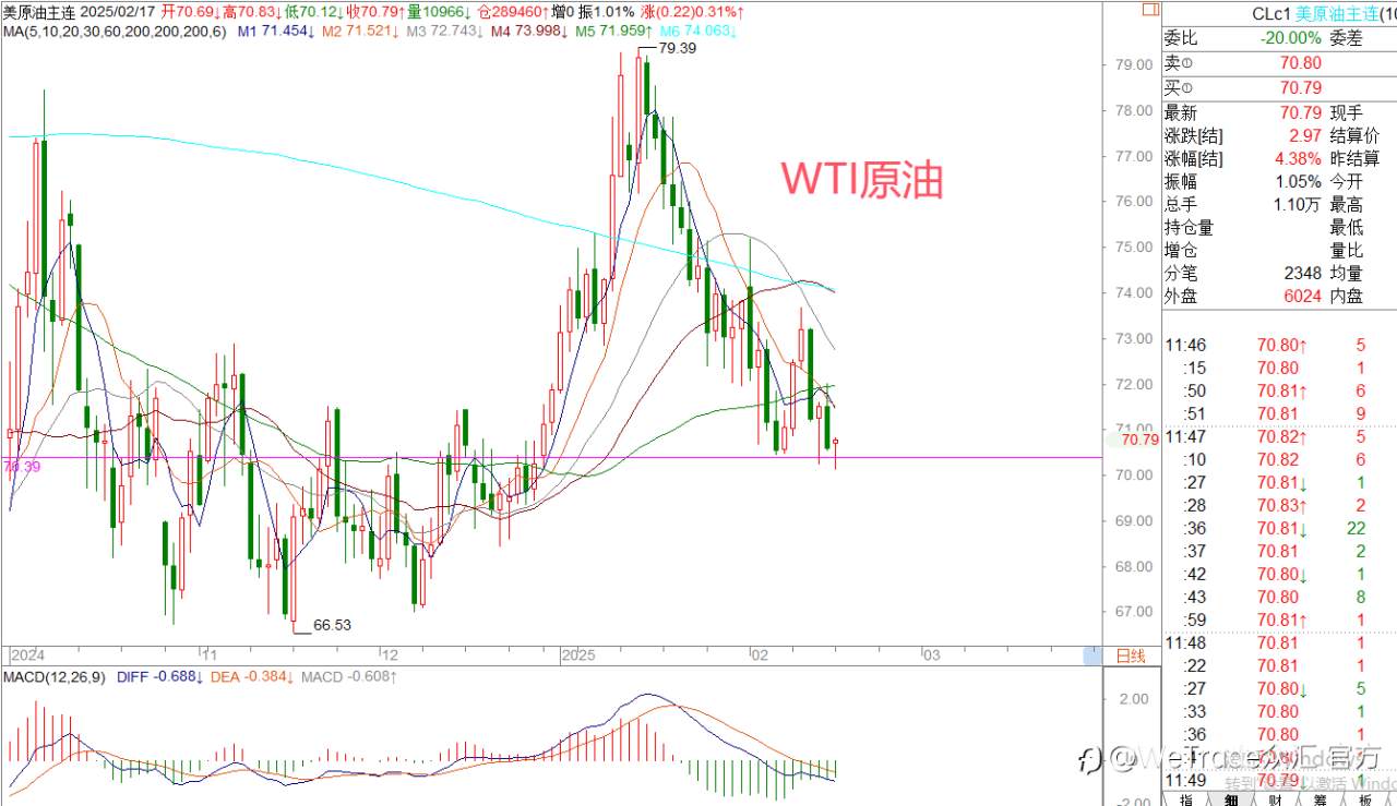 2025年2月17日|每日汇评-策略分析|王萍：黄金偏多震荡运行