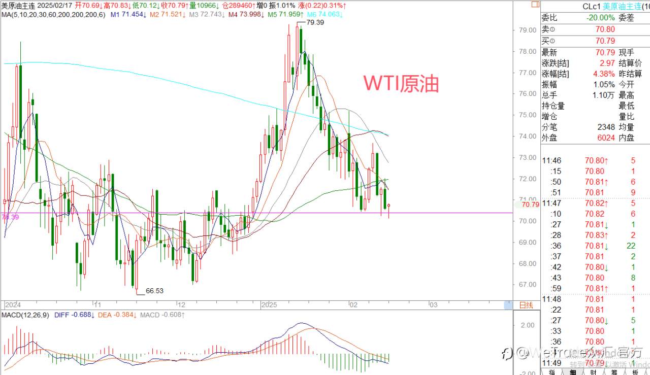 2025年2月17日|每日汇评-策略分析|王萍:黄金偏多震荡运行