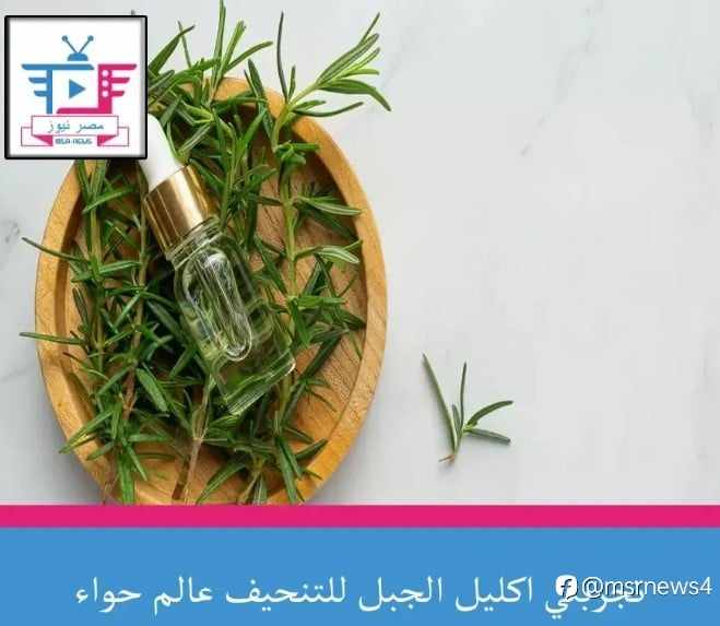 تجربتي اكليل الجبل للتنحيف عالم حواء