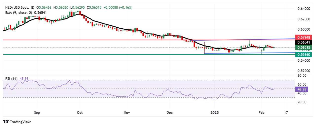 NZD/USD Price Forecast: Finds immediate barrier at nine-day EMA near 0.5650