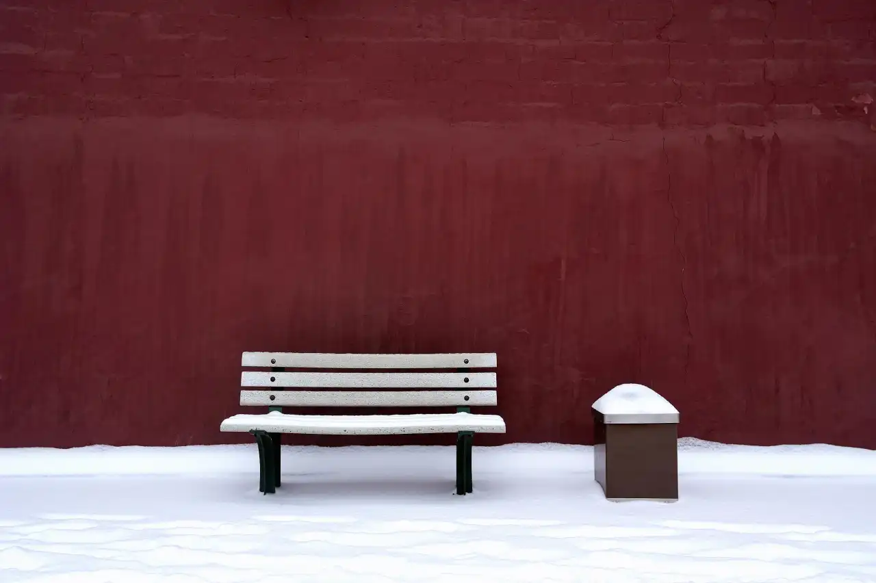 feed image