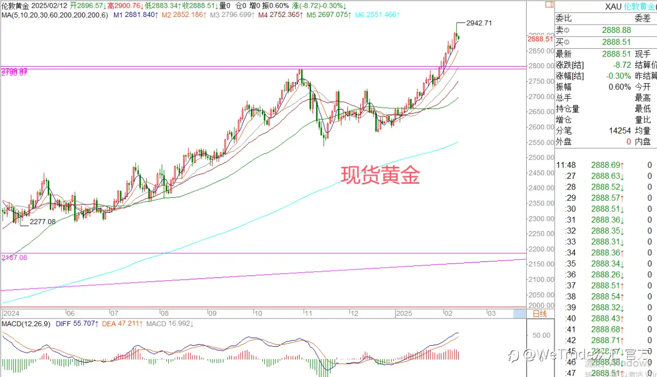 2025年2月12日|每日汇评-策略分析|王萍：黄金多头短线稍有受阻