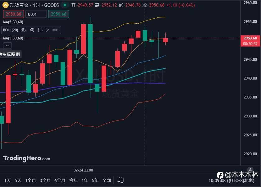 2025年2月25日现货黄金