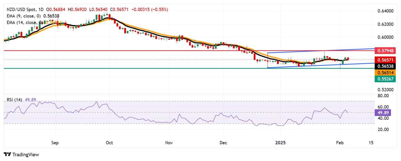 Dự báo giá NZD/USD: Kiểm tra EMA chín ngày gần 0,5650; di chuyển trong một mô hình hình chữ nhật