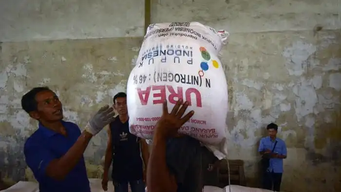 Gandeng BNI, Kemenkop Ubah Gapoktan Jadi Koperasi buat Salurkan Pupuk Subsidi