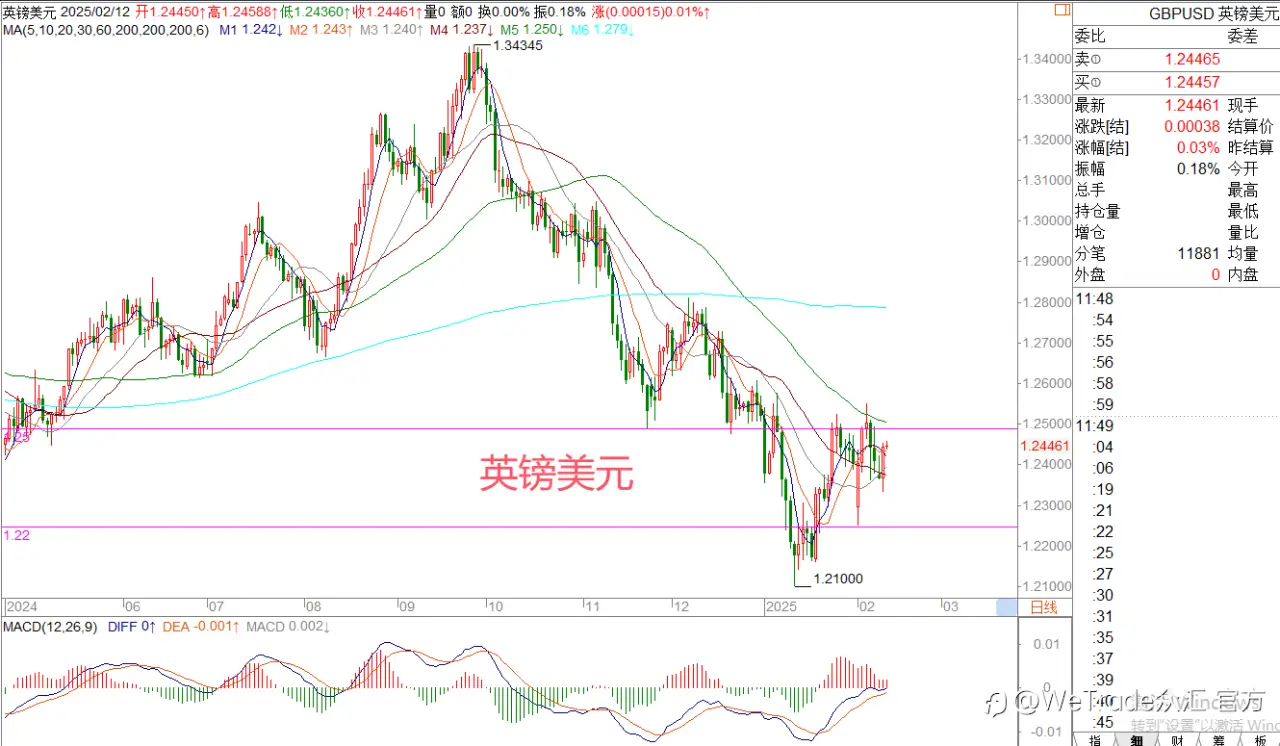 2025年2月12日|每日汇评-策略分析|王萍：黄金多头短线稍有受阻