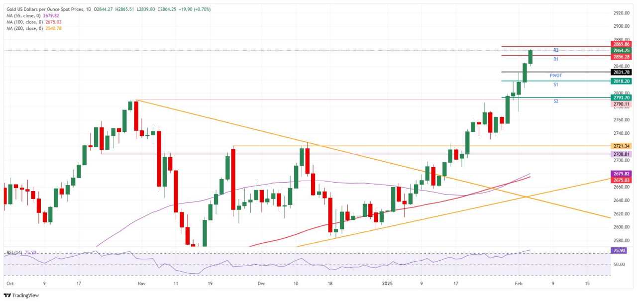 Gold hits fresh all-time highs, enters bull run with fifth consecutive day of gains