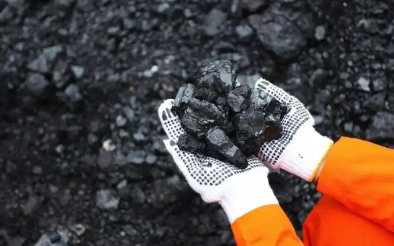 ADMR Produksi 6,63 Juta Ton Batu Bara Metalurgi di 2024