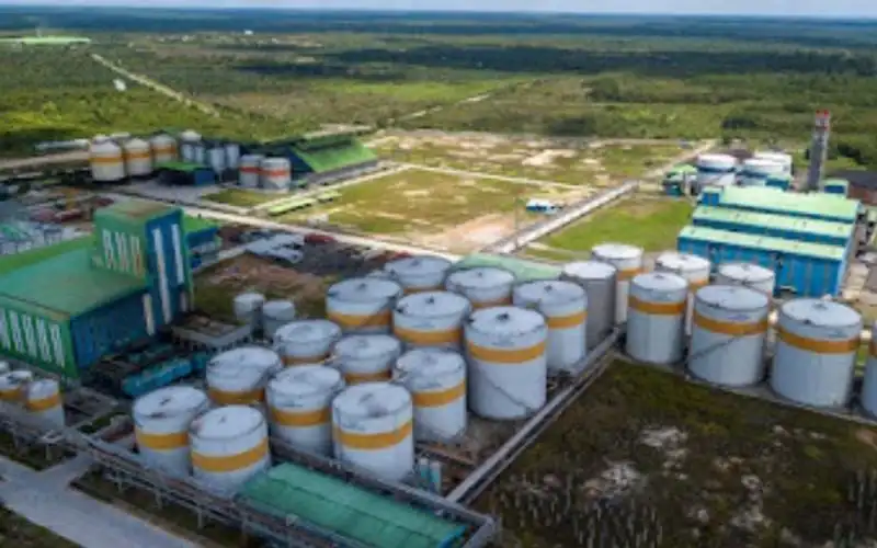 Citra Borneo (CBUT) Serok Laba Rp68,19 Miliar pada 2024, Anjlok 52 Persen