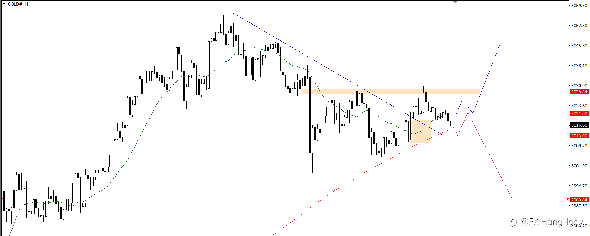 PLAN TRADE 26/3/25