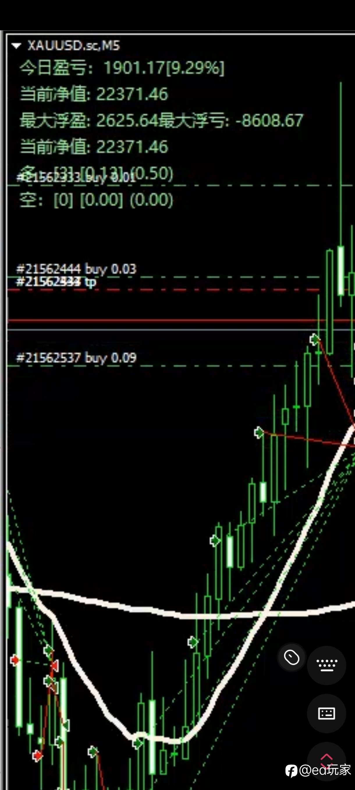 feed-image-1