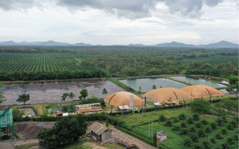 First Resources Caplok ANJT, Terungkap Nilai Akuisisi Rp5,4 Triliun