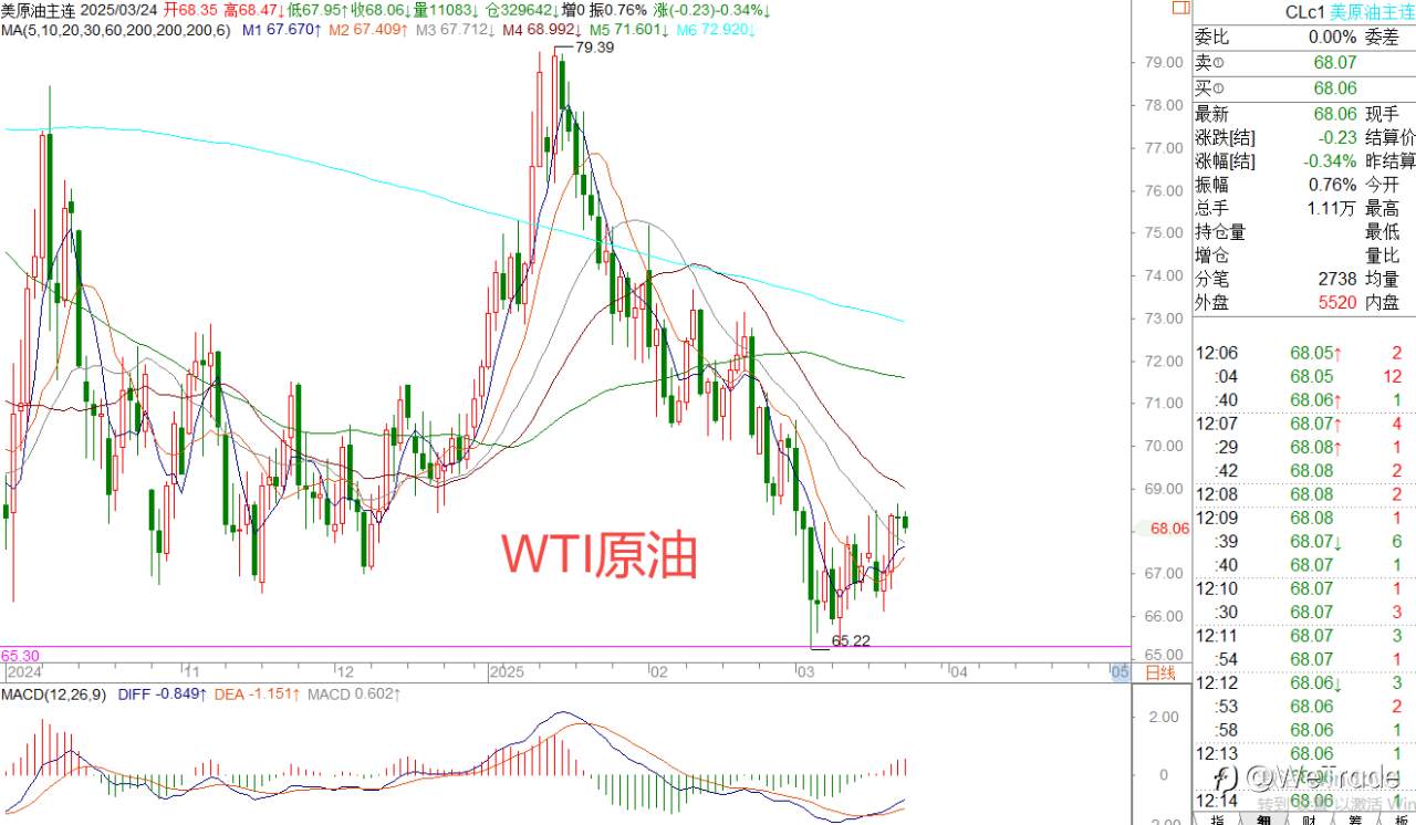 2025年3月24日|每日汇评-策略分析|王萍:非美短期陷入震荡