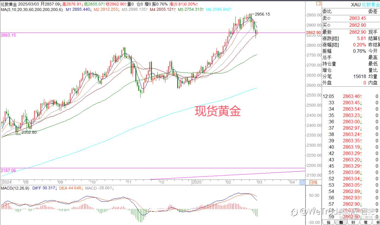 2025年3月3日|每日汇评-策略分析|王萍:黄金短期进入调整