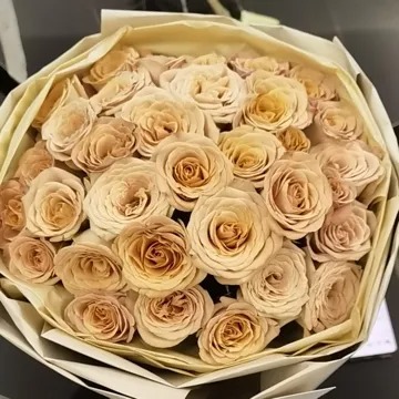 亏了4年多后，他上周盈利了5.6万美元！