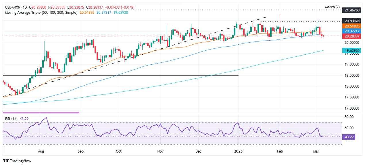 Mexican Peso struggles to hold gains, loses ground versus USD