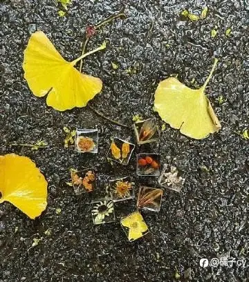 feed image