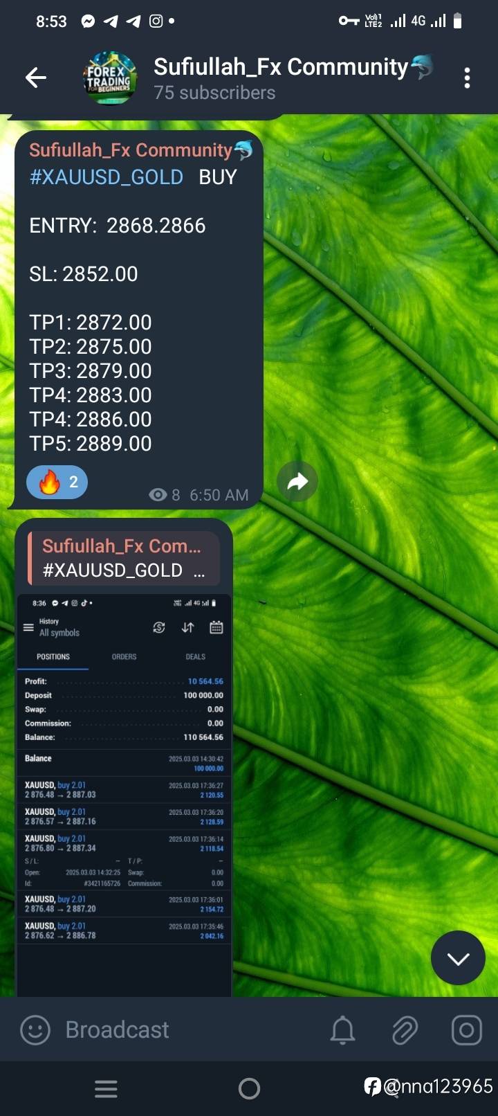 feed-image-1