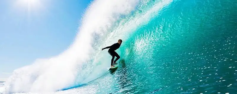 feed image