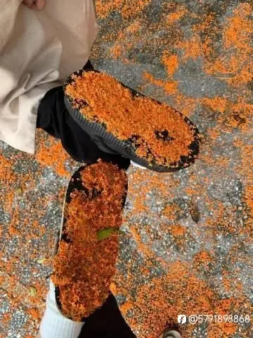 feed image