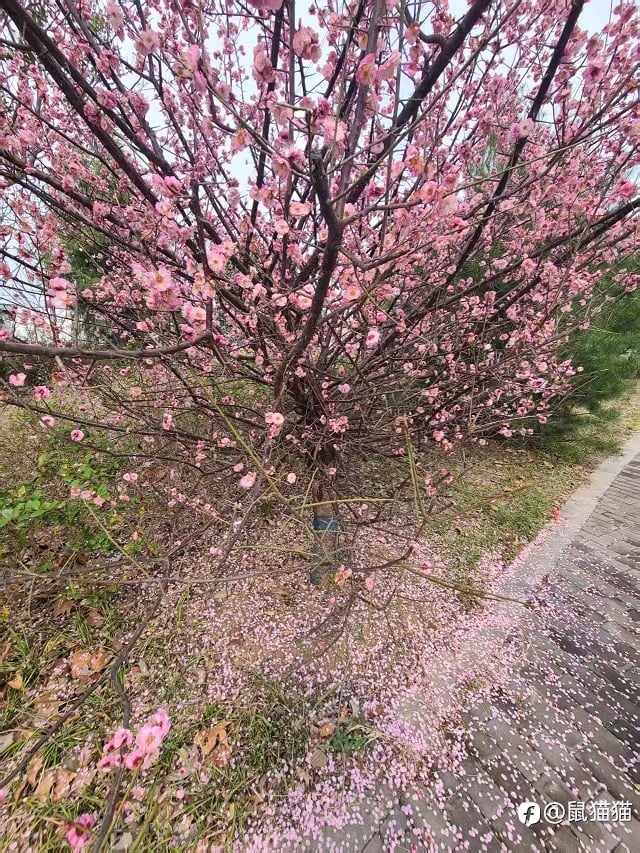 无聊?那你可得小心了