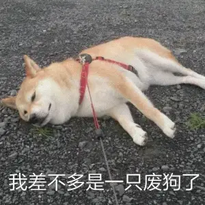 真的得戒了
