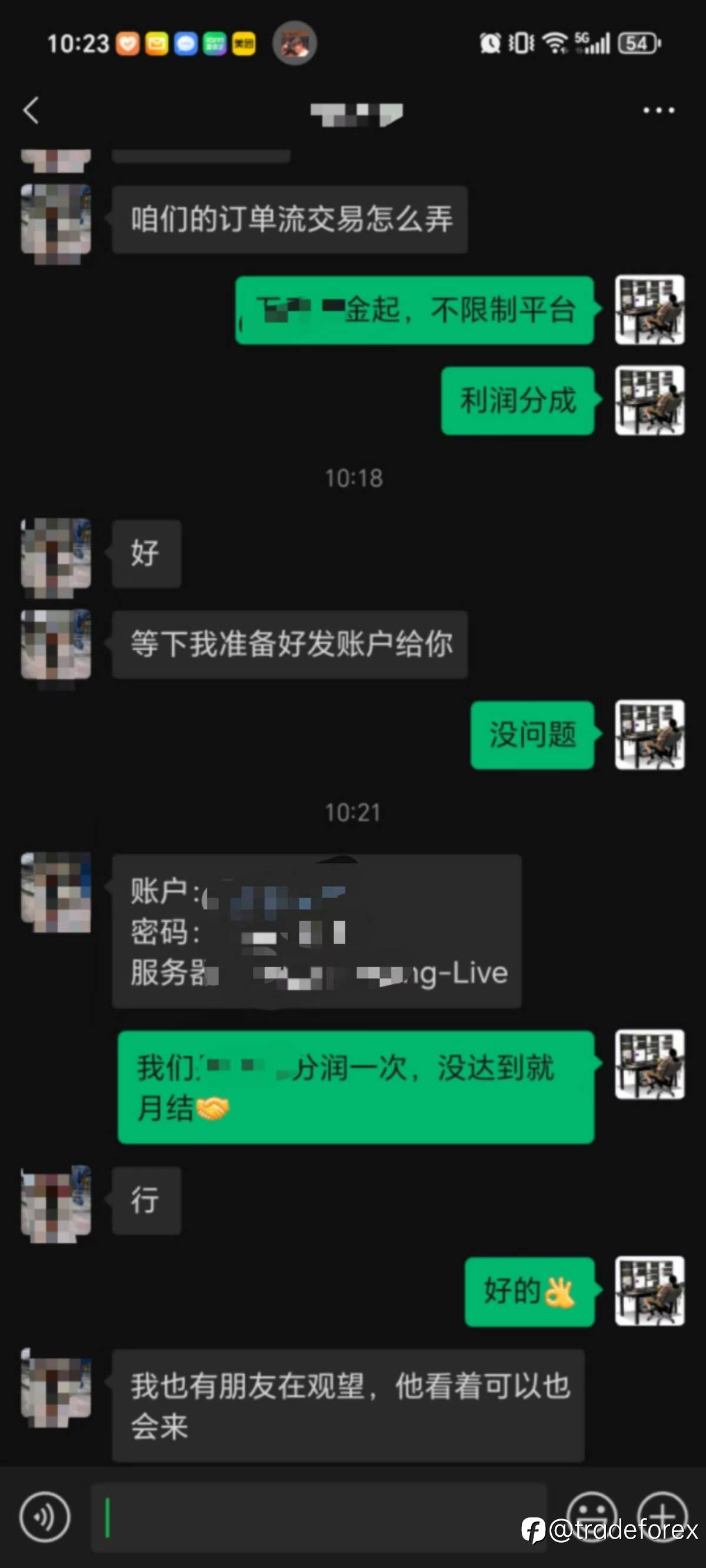 feed-image-1