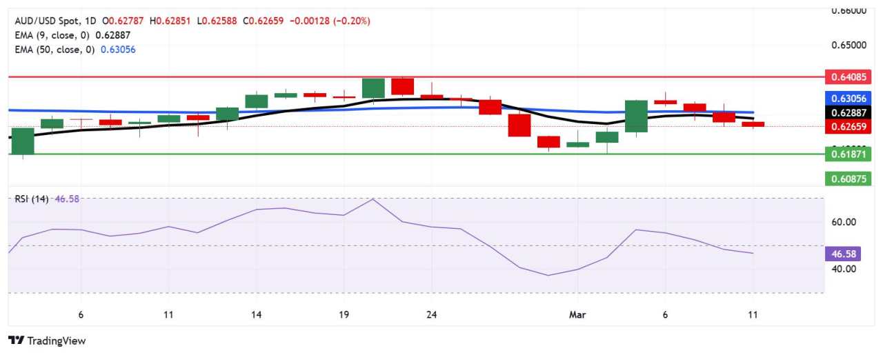 Australian Dollar holds losses despite a stronger Westpac Consumer Confidence