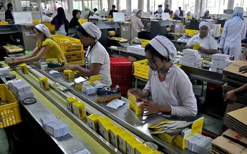 Sido Muncul (SIDO) Raup Laba Rp1,17 Triliun di 2024