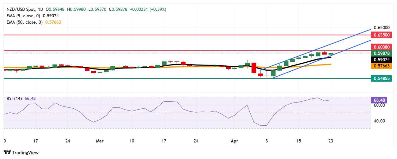 NZD/USD Price Forecast: Bounces off 0.5950 near ascending channel’s lower boundary