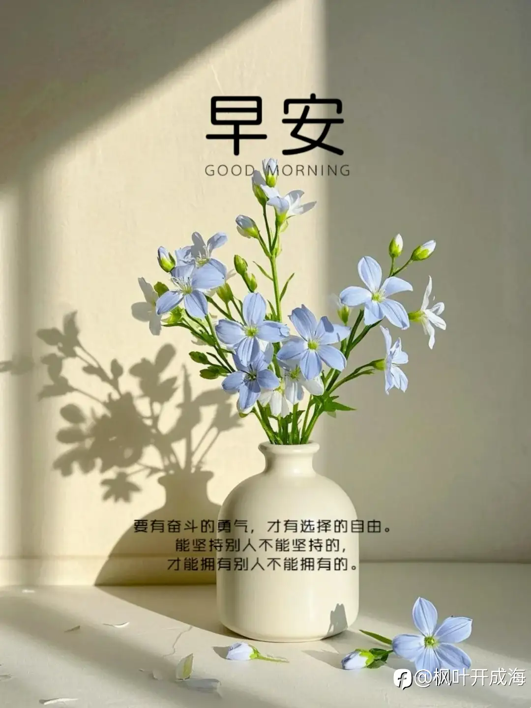 feed image