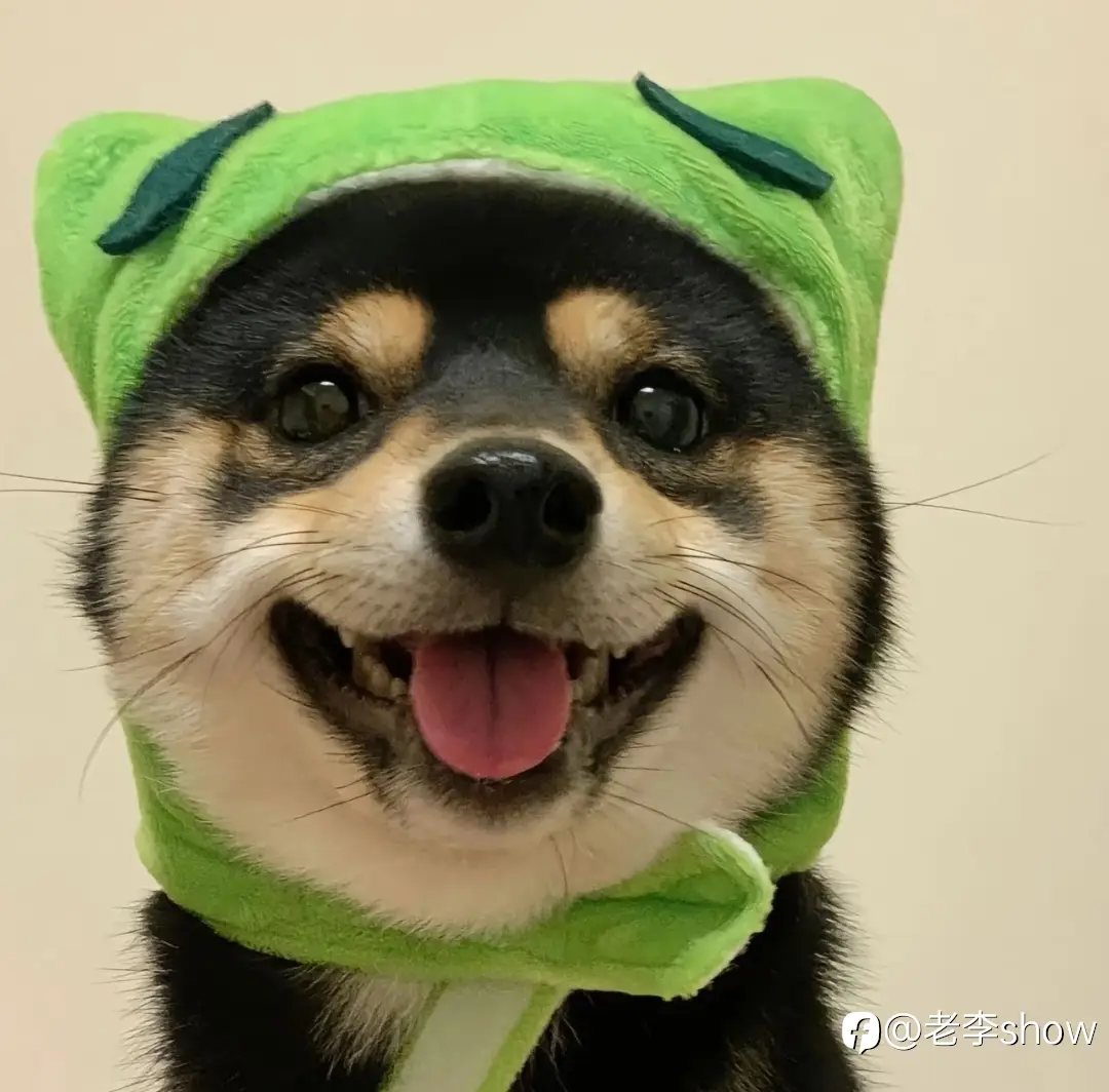 feed image