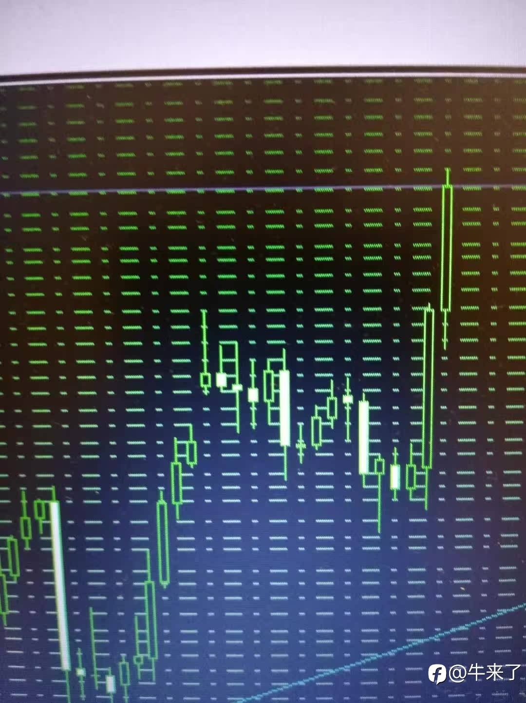 feed-image-1