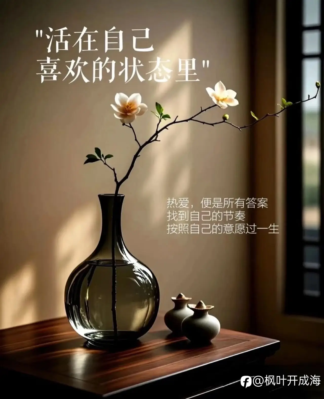 feed image