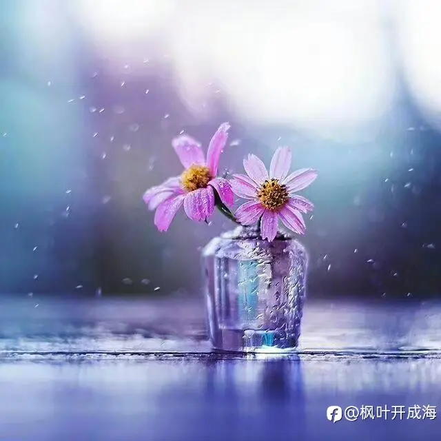 feed image