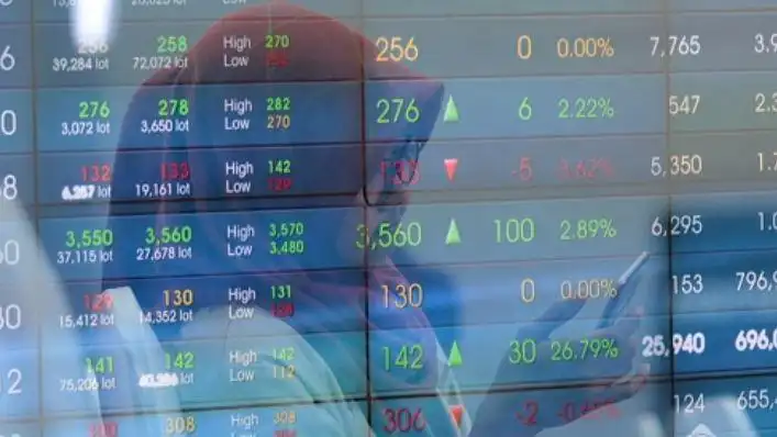 Pasar Modal Syariah Indonesia Tumbuh Pesat, Jadi Sorotan Dunia Internasional