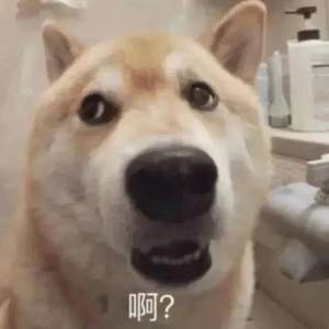 feed-image-0