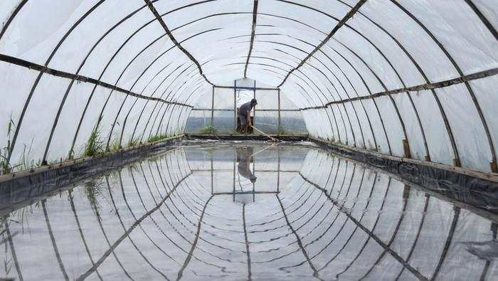 Prabowo Minta Industri Pangan-Farmasi Pakai Garam Lokal Mulai 31 Desember
