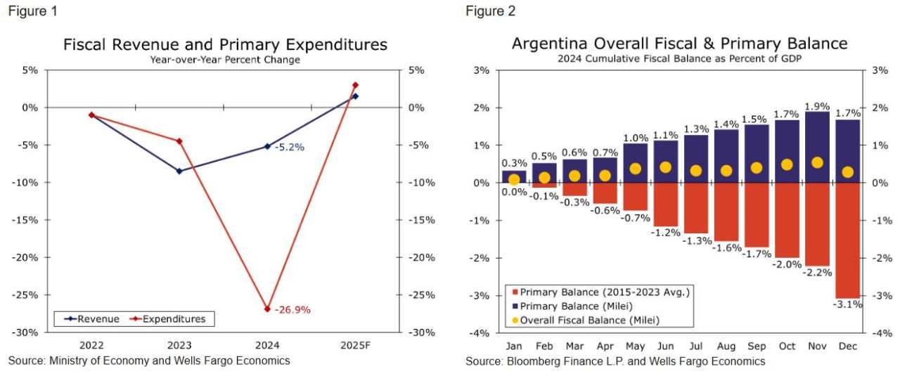 Argentina's tidal wave of a sea change, but did the crest come too soon?