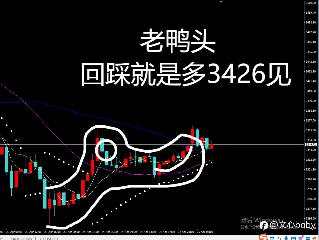 feed-image-2