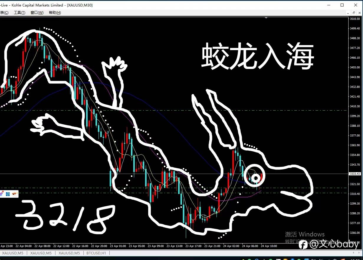 feed-image-2