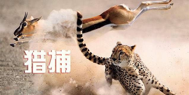 这14条交易制胜法则，都是生存之道！