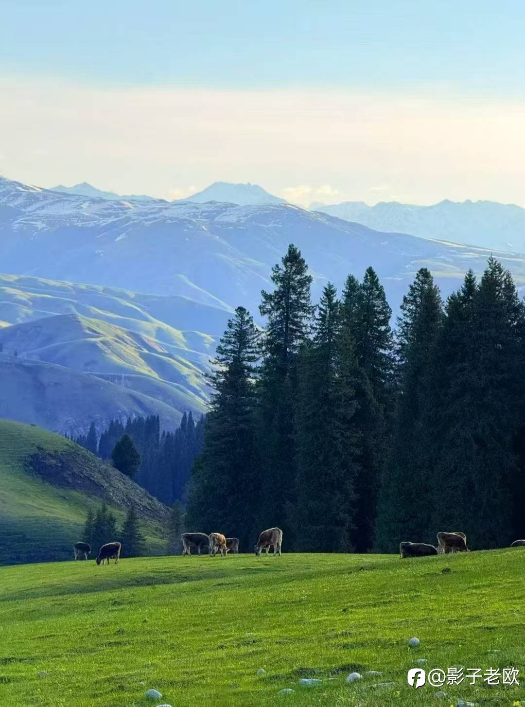 交易之旅的第二阶段——踏遍山河