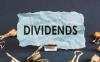 Makna Strategi Investasi Bird in Hand, Dividen Investing VS Capital Gain Oriented
