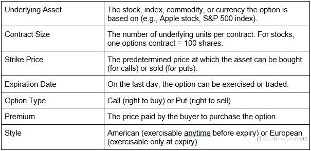 Options Trading 101: Risks and Rewards of Calls and Puts
