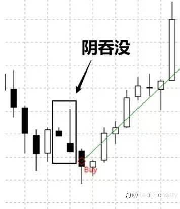 feed-image-1
